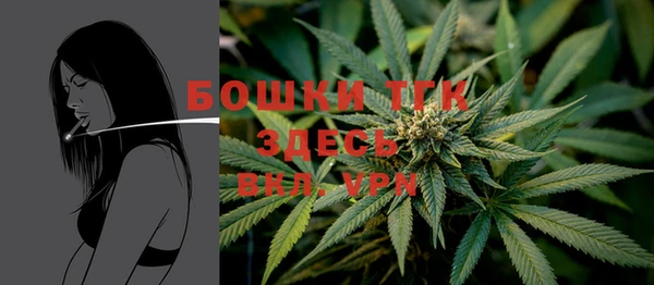 spice Богородицк
