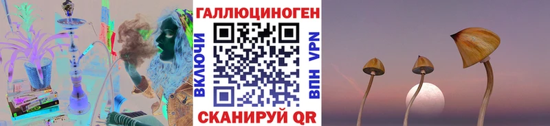 кракен как зайти Конаково Галлюциногенные грибы мицелий сколько стоит