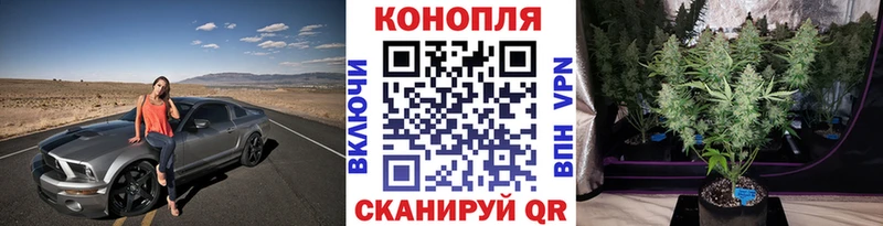 Бошки Шишки ГИДРОПОН  Конаково 